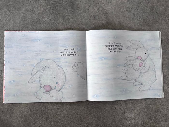 Livre « neige » - photo numéro 7