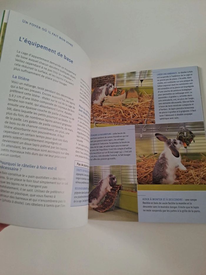 Lapins nains - photo numéro 3
