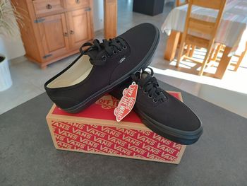 Paire de baskets skate Vans
