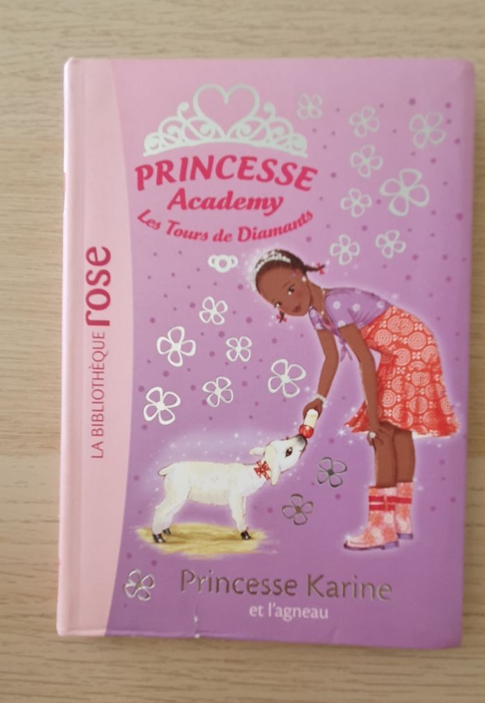 Lot 4 livres Princesse Academy - photo numéro 5