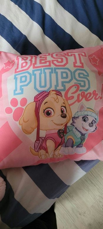 Coussin pat patrouille