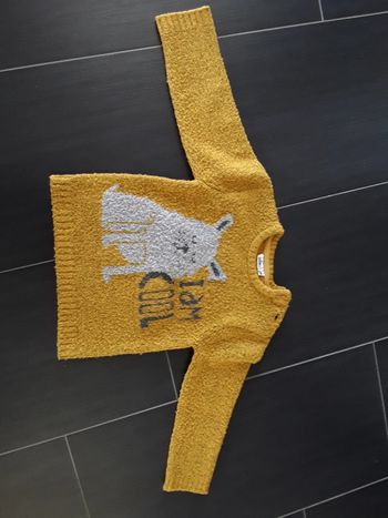 Pull Gemo 24 mois