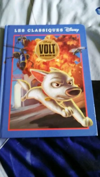 Livre Disney