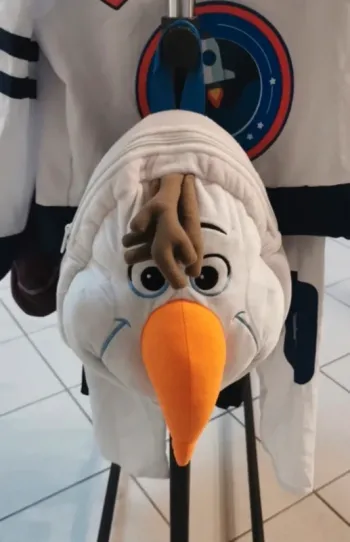 Sac olaf