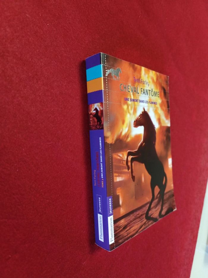 Cheval fantôme Tome 3 " Une jument dans les flammes " Terri Farley - photo numéro 3