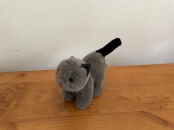 Petit chat peluche