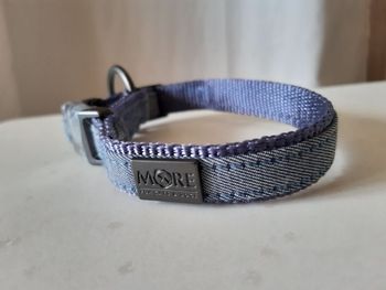 Collier bleu chien taille S