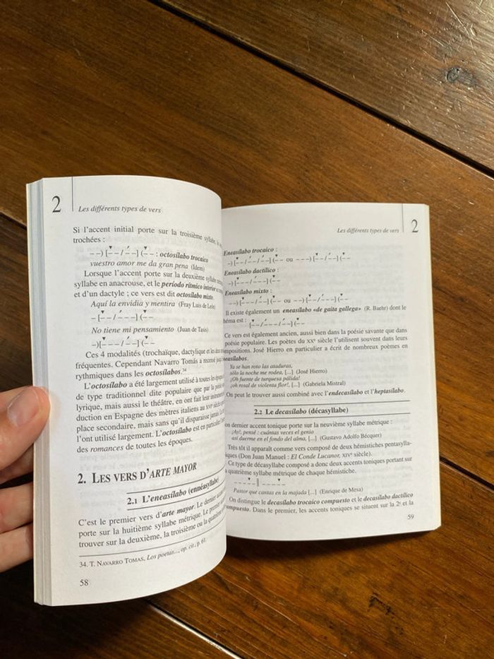 Précis de métrique espagnole CAPES - photo numéro 4