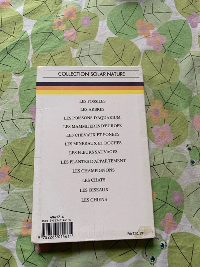 Les poissons d aquarium - photo numéro 2