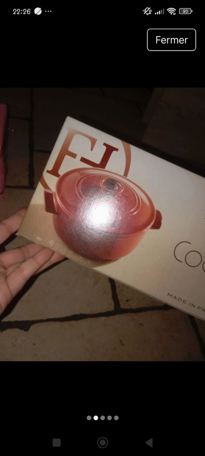 Cocotte - photo numéro 2