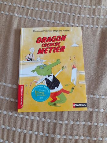 Dragon cherche métier