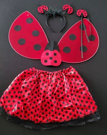 Déguisement coccinelle 3-6ans