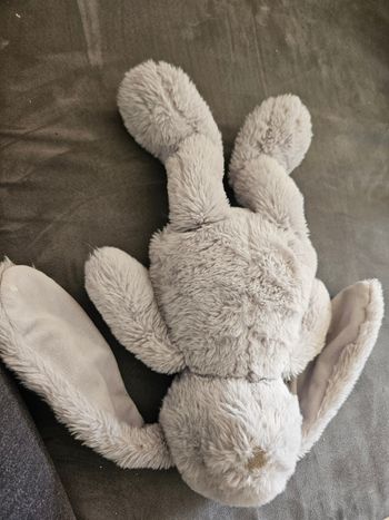 Lapin