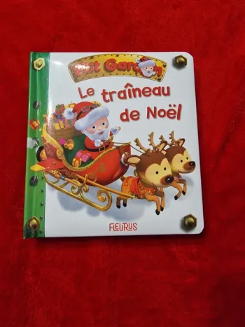 Livre 18 p'tit garçon le traîneau de Noël