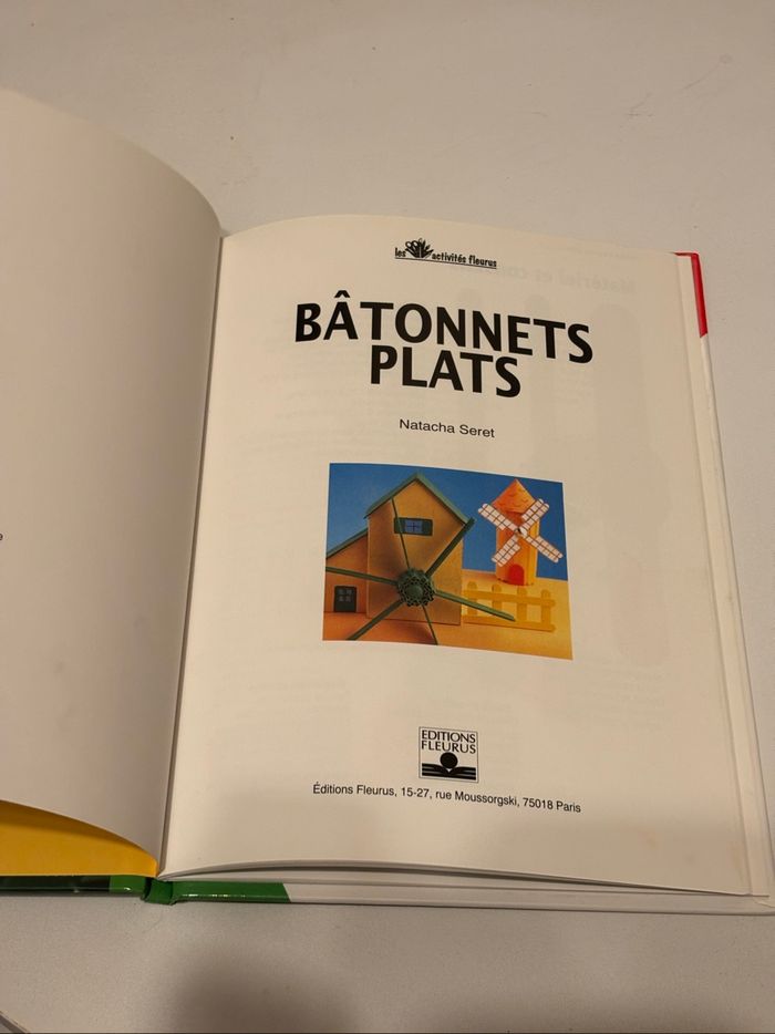 livre de Natacha Seret « Bâtonnets plats » - photo numéro 3