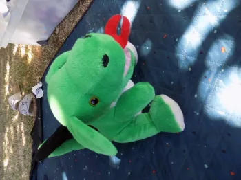 peluche