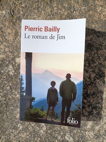 Livre Pierric Bailly le roman de Jim Folio comme neuf