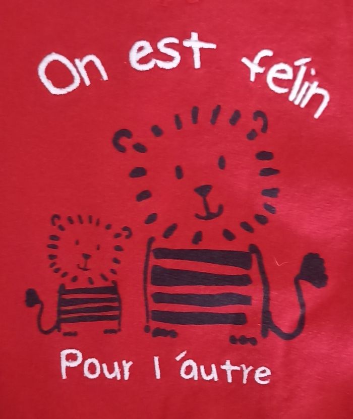 Sweat garçon - photo numéro 2