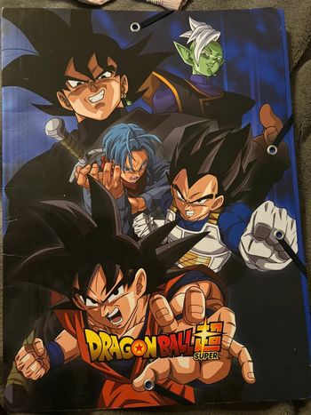 Pochette à élastique dragon ball quelques traces d’usure mais plutôt très bon état