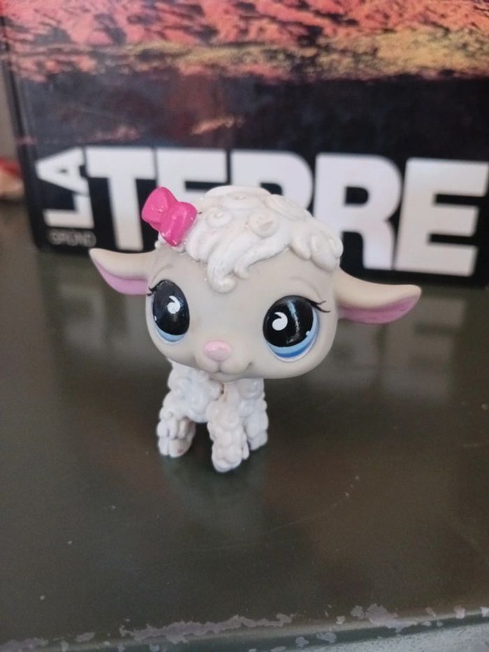 Petshop mouton #879 - photo numéro 4