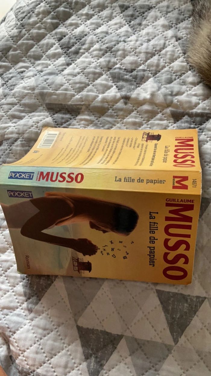 #la fille de papier Guillaume Musso. ) - photo numéro 4