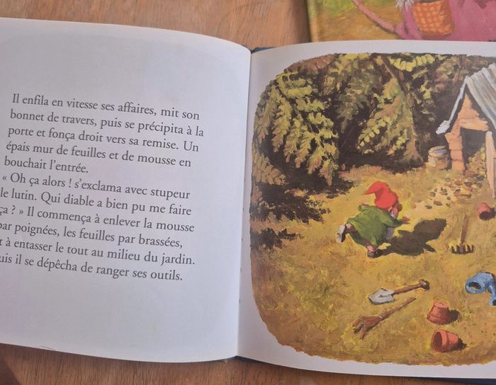 Lot de deux livres - photo numéro 6