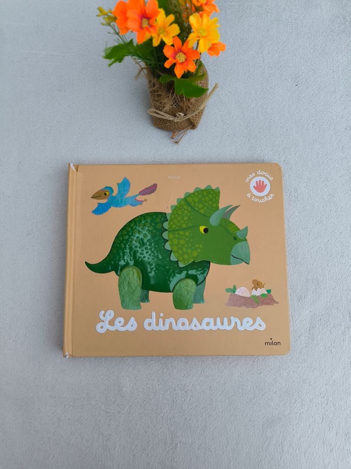 Livre Les dinosaures Milan