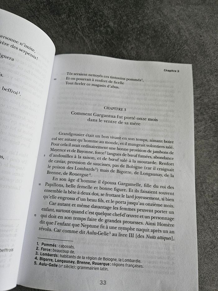 Livre scolaire "Gargantua" de François Rabelais - Edition BAC - photo numéro 5