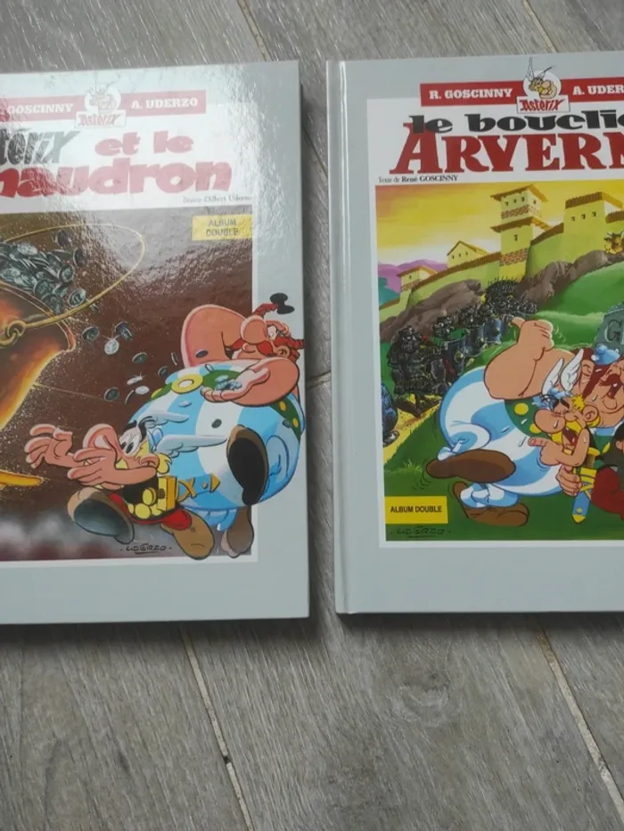 Lot 2 bd albums doubles - photo numéro 2
