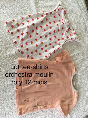 Lot 2 tee-shirts 12 mois