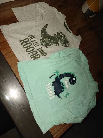 Lot de 2 tee shirt s motif dinosaure