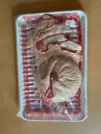 Faux sein pour Halloween