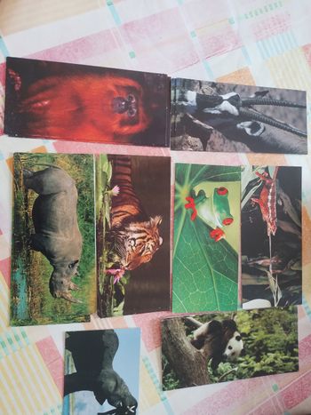 Cartes animaux