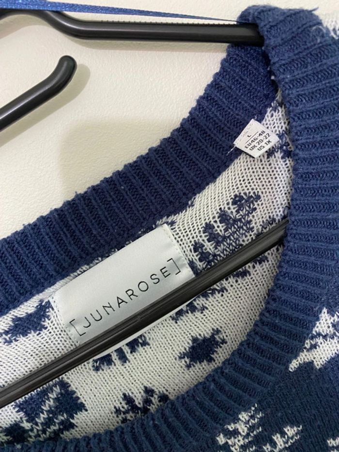 Pull bleu et blanc Junarose taille 46-48 - photo numéro 2