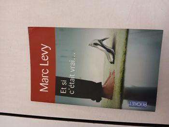Et si c'était vrai Marc Levy