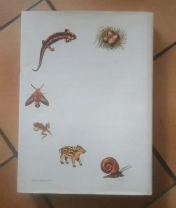 Livre sur les animaux de tous les pays - photo numéro 3