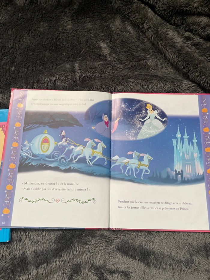 Lot de deux livres la belle au bois dormant +cendrillon - photo numéro 7