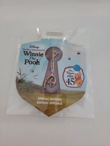 Pins clé Winnie l'ourson