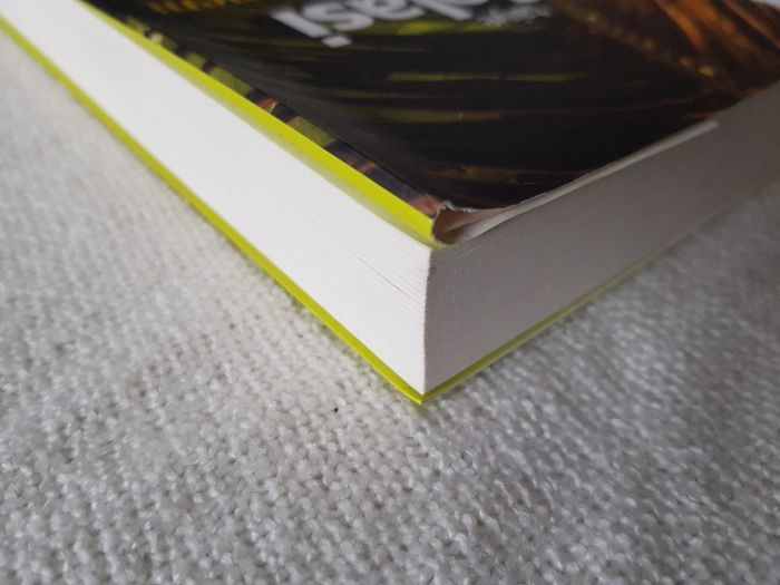 Le ravissement des innocents de Taiye Selasi - photo numéro 4