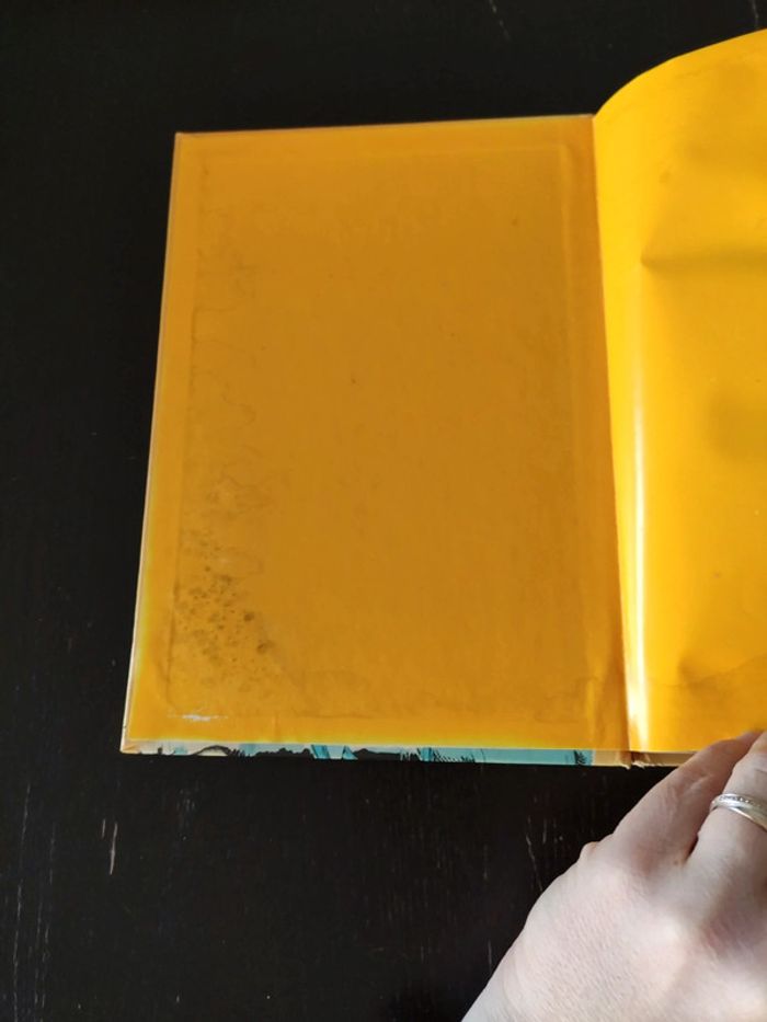 Jeanne d'Arc - photo numéro 3