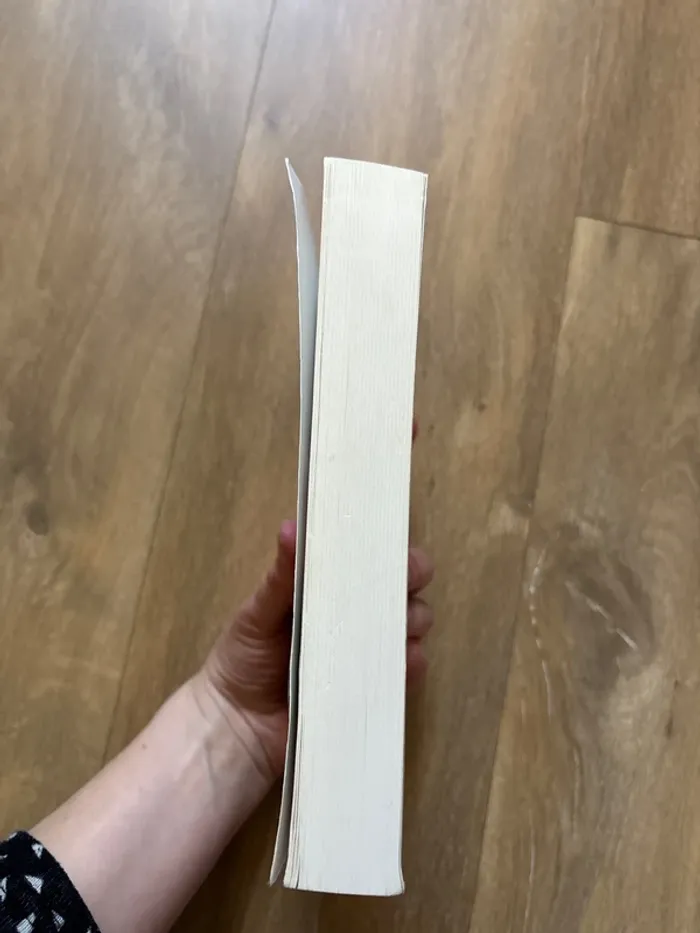 Livre Agnès ledig - photo numéro 3