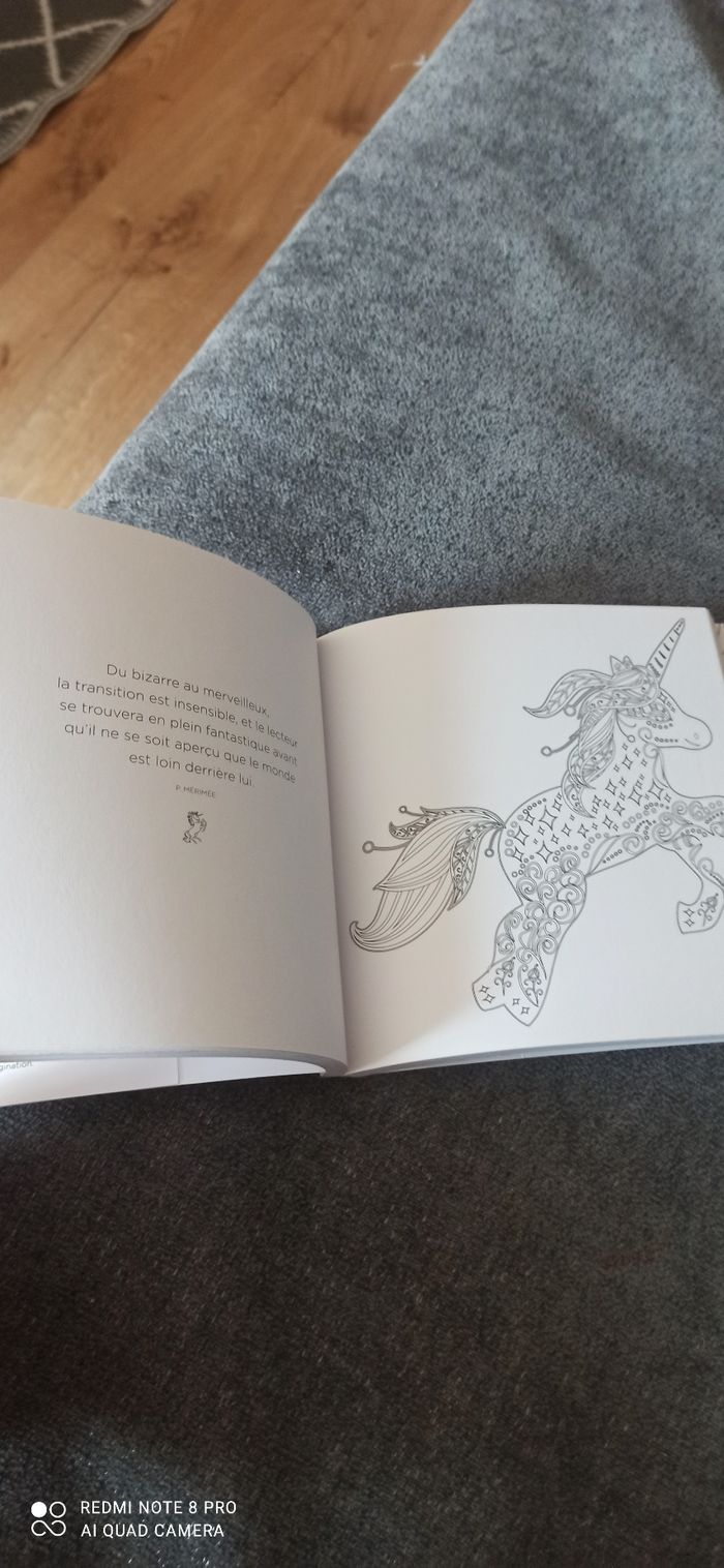 Album de coloriage - photo numéro 2