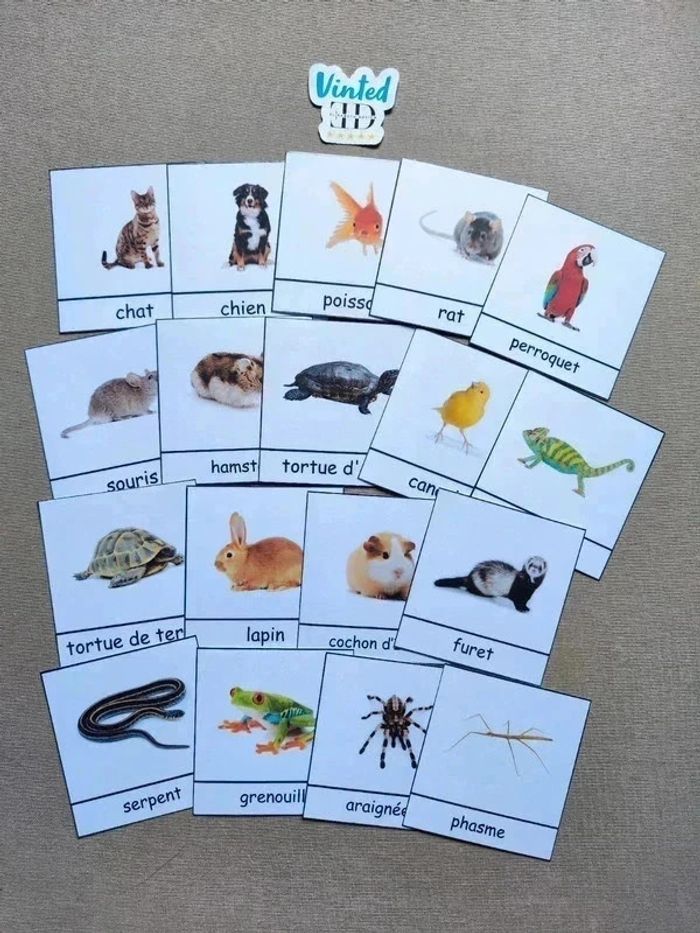 18 cartes de nomenclature des animaux domestiques - photo numéro 2