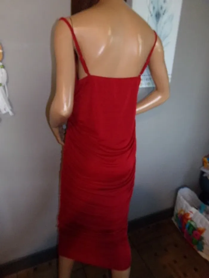 Robe brillante - photo numéro 6