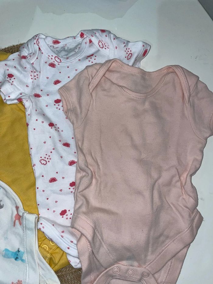 Lot de 20 bodys manches courtes - photo numéro 16