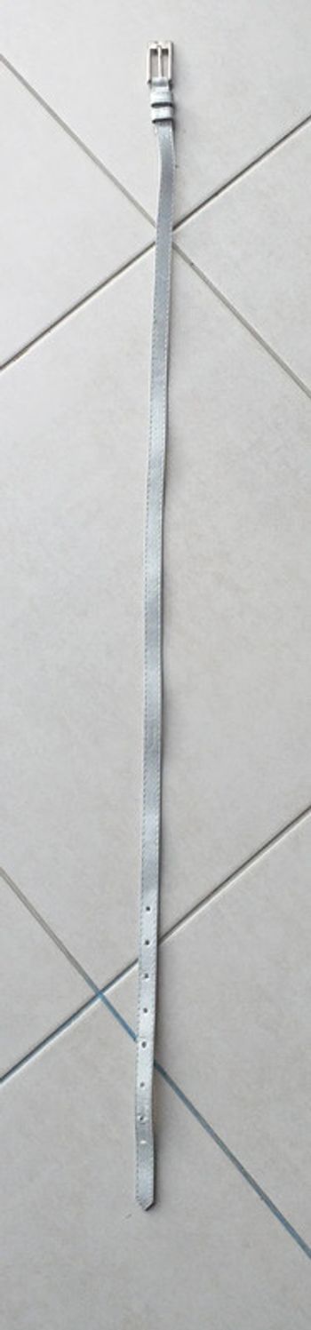 Ceinture argentée