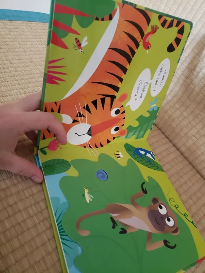 Joue à cache-cache avec tigre - photo numéro 4