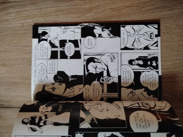 The French Crow - photo numéro 6