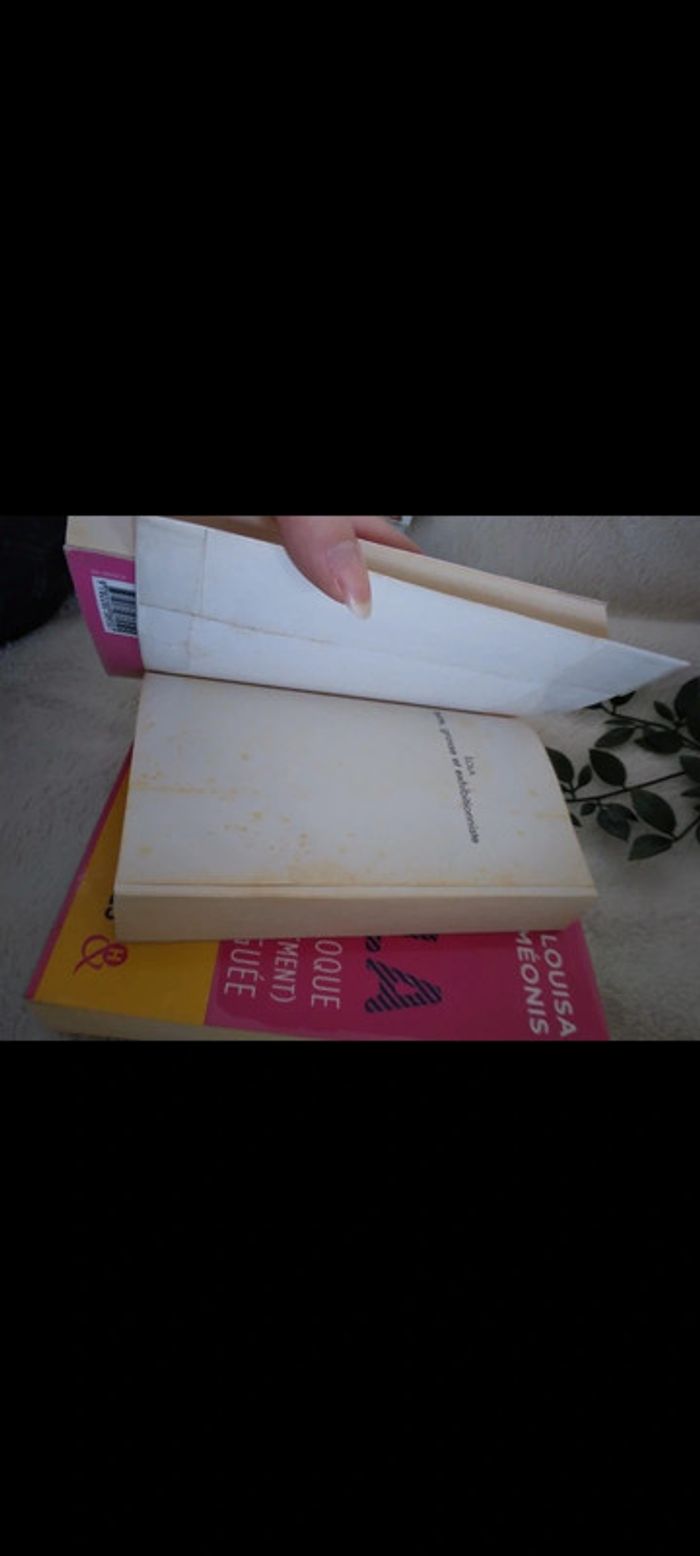 🌸Lot de 3 livres de romance. Lola petite grosse et exhibitionniste 🌸 - photo numéro 7