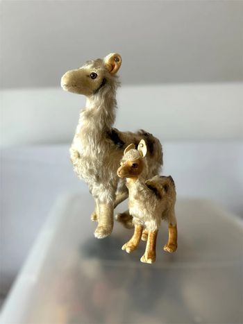 Steiff Lama/ Alpaga
